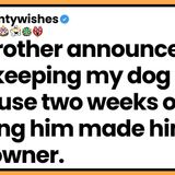 My brother announced he was keeping my dog because two weeks of feeding him made him the real owner.
