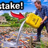 Neighbor Dumped Poison in My Pond.. then discovered My Fish were Worth $200,000!