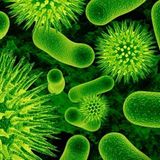Un Mundo sin Microbios #documental