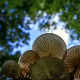 Sky News Radio Podcast – Wednesday 12th September 2018