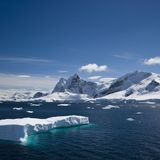 The Daily with Dermot Murnaghan: How do we tackle climate change?