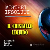 Il cristallo liquido