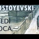 EBEDİ KOCA FYODOR DOSTOYEVSKİ sesli kitap tek parça Akın ALTAN