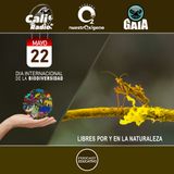 NUESTRO OXÍGENO Libres por y en la naturaleza-Celebremos la biodiversidad (dia mundial de la biodiversidad 2025)