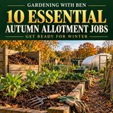 10 Essential Autumn Allotment Jobs | Prepare Your Plot for Winter