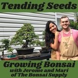 Ep 44 - Growing Bonsai with Jerome and Mari of The Bonsai Supply
