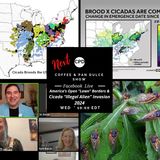 “America’s Open “Lawn” Borders & Cicada “Illegal Alien” Invasion 2024!” – #CPD0301-0612024