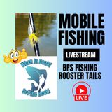 Ultralight Baitcasting - Rooster Tails - Mobile Fishing Livestream 24 (Audio Podcast)