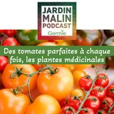 Des tomates parfaites à chaque fois, les plantes médicinales ...