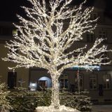 La Verdadera Navidad Está en el Corazón / Reflexiones cristianas