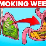 What Happens To Your Body When Smoking Weed