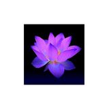Spontaneous Spirit Talk – 9pmEST / “Throwback Thursday Show” – 10pm EST