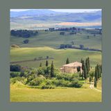 #165 Imparare a osservare il Paesaggio, per diventare giardinieri migliori
