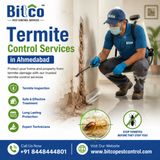 Reliable Termite Control Services for Residential Properties