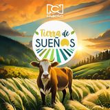 Tierra de Sueños, Colombia frente a una posible crisis energética