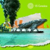 Ballenas o gas: una decisión urgente