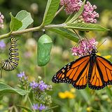 Heart Leadership: The Power of Change