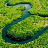 Come sta l'Amazzonia