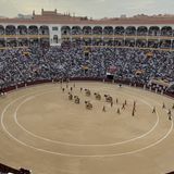 Al Alimón: Un novillada ilusionante como previa de la semana central de San Isidro 2025 con el regreso de Roca Rey