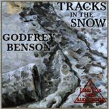 23 - Tracks in the Snow by Godfrey R. Benson
