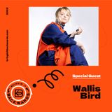 Interview with Wallis Bird