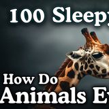 How Do Animals Evolve_ 100 Facts to Fall Asleep