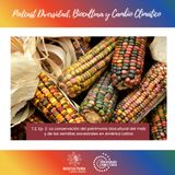T2.E2.Maíz y semillas ancestrales en América Latina