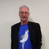 Bush chooks, clever crows, and assassin maggies