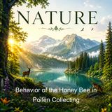 Behavior of the Honey Bee in Pollen Collecting - D B Casteel