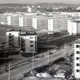Historia kieleckich ulic. Piekoszowska