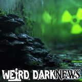 This Fungus EATS Radiation — And Scientists Want to Send It to Mars