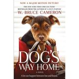 Ep 47: A Dog's Way Home / The Upside / Golden Globes Recap