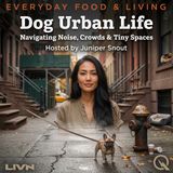 Dog Urban Life - Explore the concrete jungle with Juniper Snout