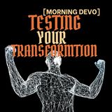 Testing Your Transformation [Morning Devo]