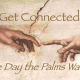 The Day the Palms Waved