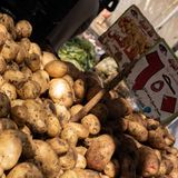 La patata de Egipto amenaza a los productores españoles