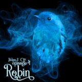 S2E4: Robin