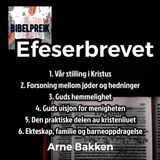Arne Bakken: Efeserbrevet - 2: Forsoning mellom jøder og hedninger