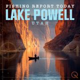 "Reel in the Rewards: Lake Powell Fishing Report for Early November"