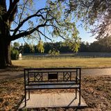 Benches by Caroline Taylor