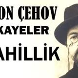 Cahillik  Anton Çehov Hikayeler sesli kitap tek parça seslendiren