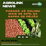 Podcast: Colheita do feijão no Paraná ultrapassa 80%