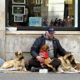1247. Should Homeless People Have Pets?