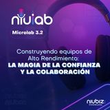 Feedback Constructivo