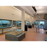 Museo Archeologico Regionale di Caltanissetta (Sicilia)