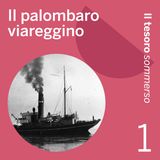 Ep. 1 Il palombaro viareggino