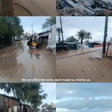 26 novembre 2025 - Notiziario Mondo