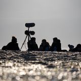 Blakeney Point - Experience