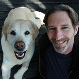 The 'Dog Park Phenomenon' - Fleas Becoming Resistant To Dog Flea Meds