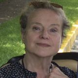 Flyover Lives by Diane Johnson